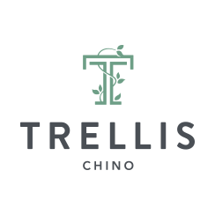 Trellis Chino